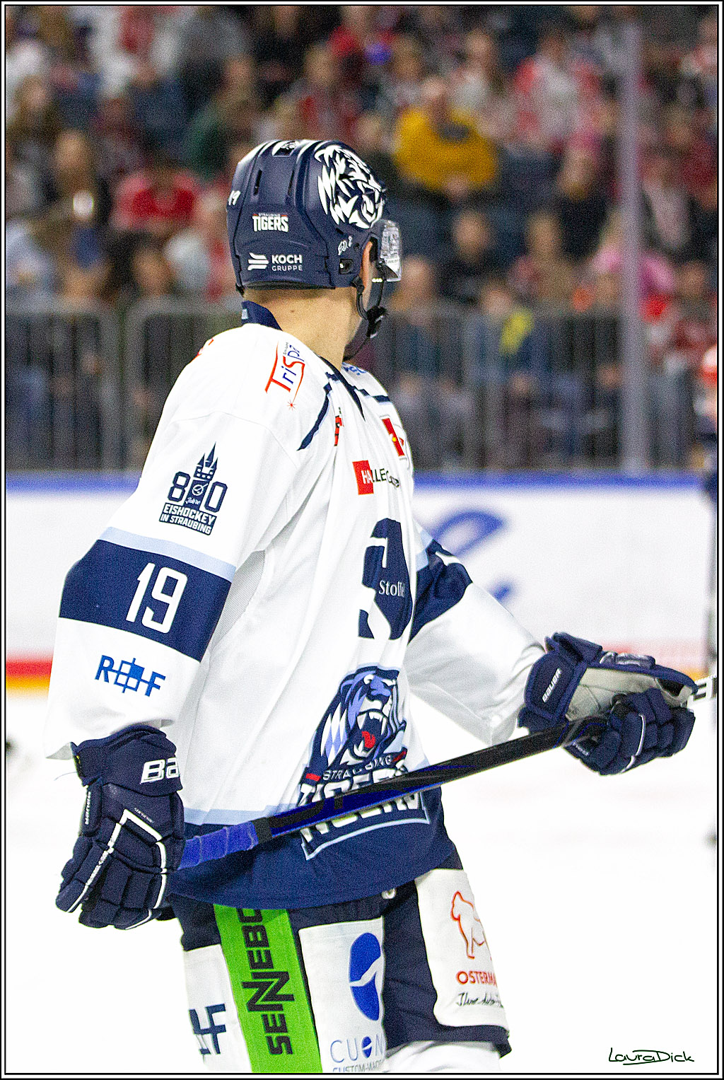 PENNY DEL;  Koelner Haie - Straubing Tigers; Koeln, 15.10.2021